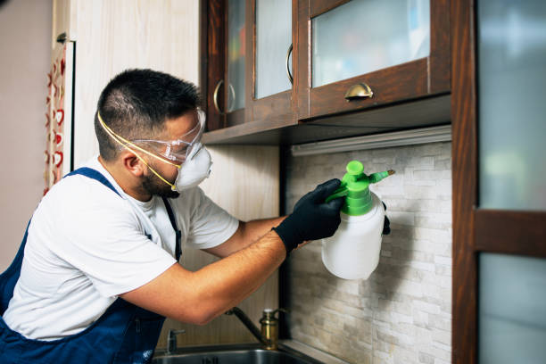 Best Termite Control Services  in Frederick, MD