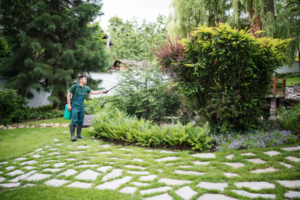 Best Insect Control  in Frederick, MD