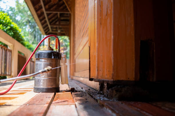 Best Termite Control Services  in Frederick, MD