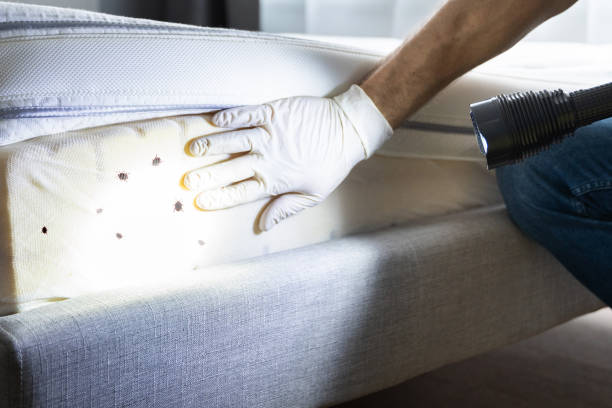 Pest Prevention Services in Frederick, MD