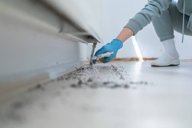 Best Best Pest Control Companies  in Frederick, MD