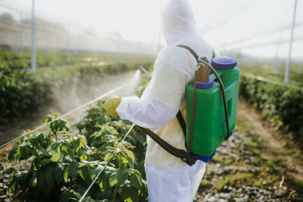 Best Best Pest Control Companies  in Frederick, MD